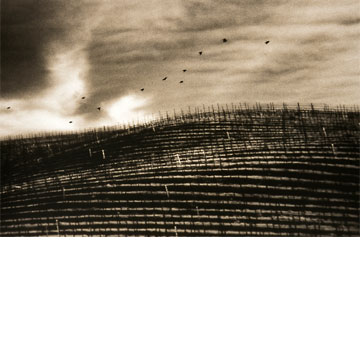 B & W Vineyard