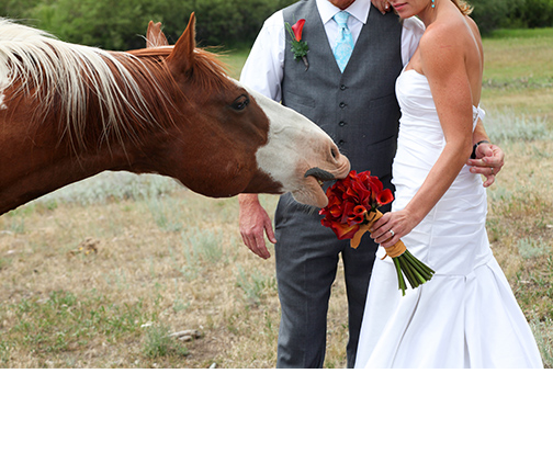 Kassidy & Ben Wedding