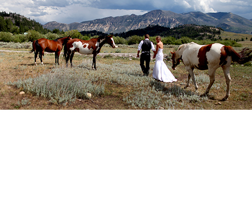 Kassidy & Ben Wedding