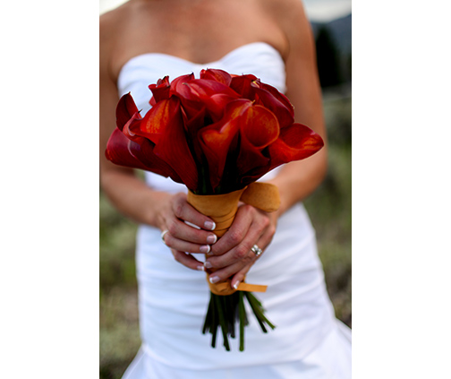 Kassidy & Ben Wedding